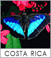 See beauty of Costa Rica!